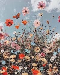 a field of flowers with butterflies flying in the sky